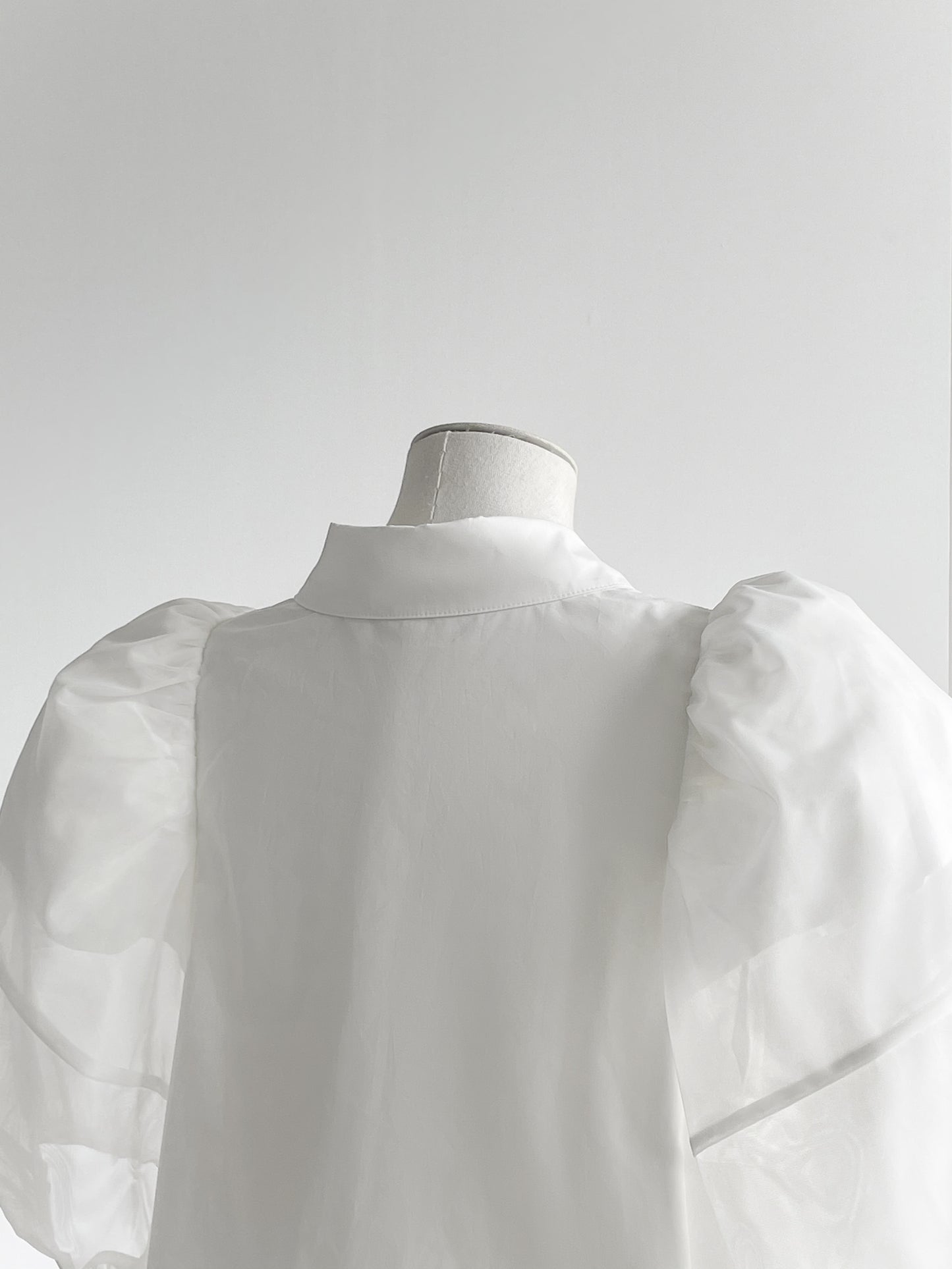 Mesh Puff Sleeve Shirt